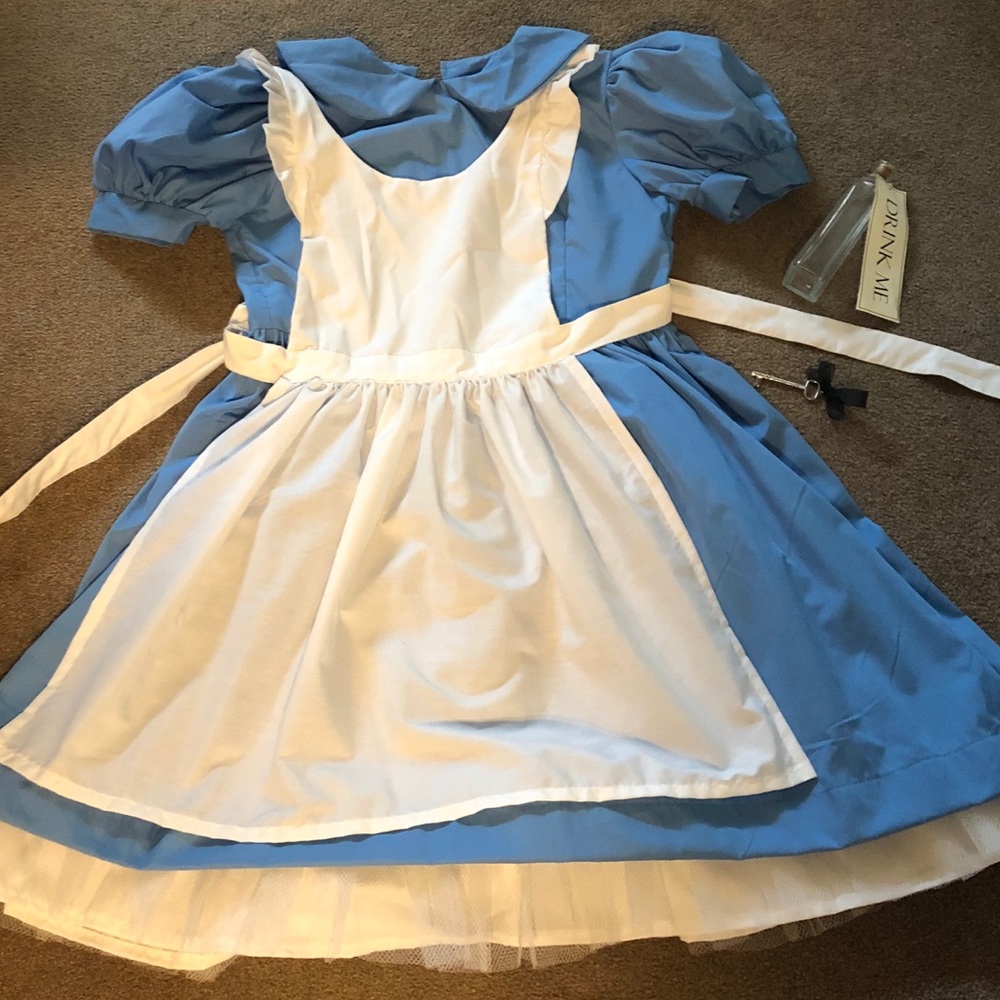 Alice in Wonderland Costume 💙